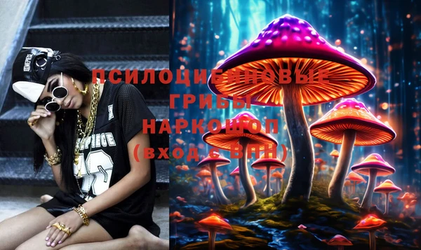 apvp Бронницы