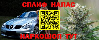 прущие грибы Чебоксары