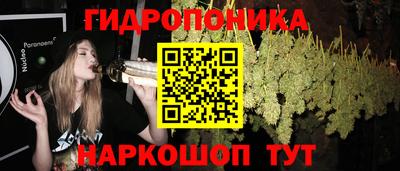 прущие грибы Чебоксары