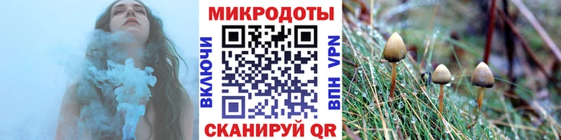 kraken ссылки  закладка  Дагестанские Огни  Галлюциногенные грибы Psilocybine cubensis 