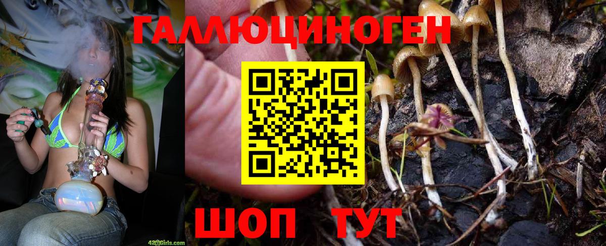 Псилоцибиновые грибы Magic Shrooms Дагестанские Огни